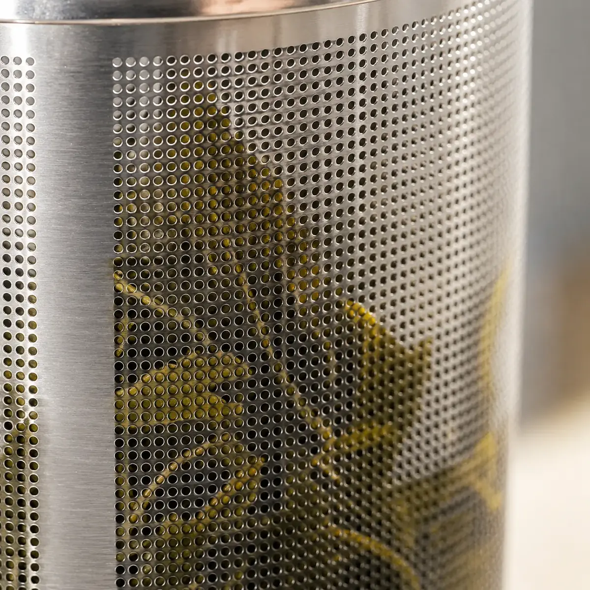 Macro of the perforated steel wall of the infuser with wet green tea leaves behind the holes